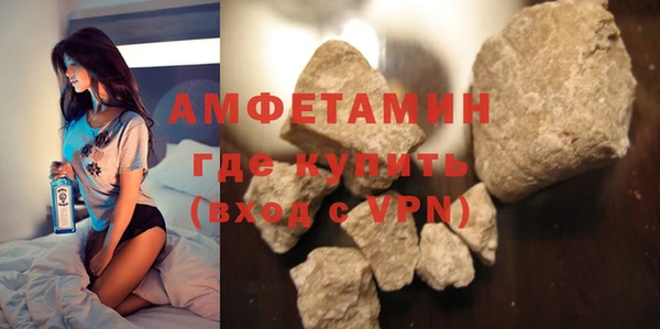 шишки Аркадак
