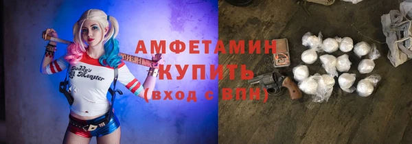 шишки Аркадак