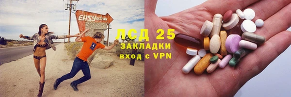шишки Аркадак