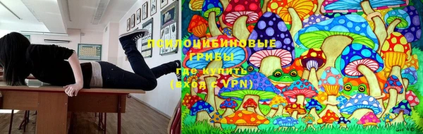 не бодяженный Арсеньев