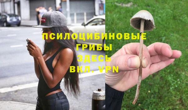 не бодяженный Арсеньев