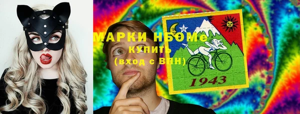 шишки Аркадак