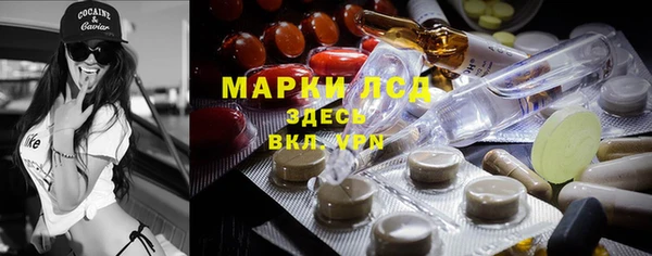 шишки Аркадак