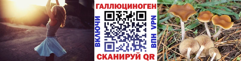 Галлюциногенные грибы мицелий  Строитель 